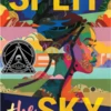 Author Honor Split the Sky