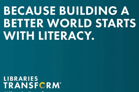 An example of a Libraries Transform graphic available at ilovelibraries.org